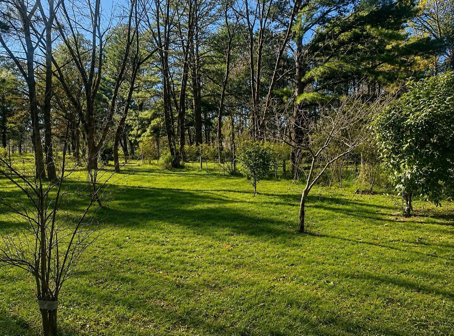 Foto de LOTE EN AMARYLIS - EXALTACION DE LA CRUZ, imagen 4