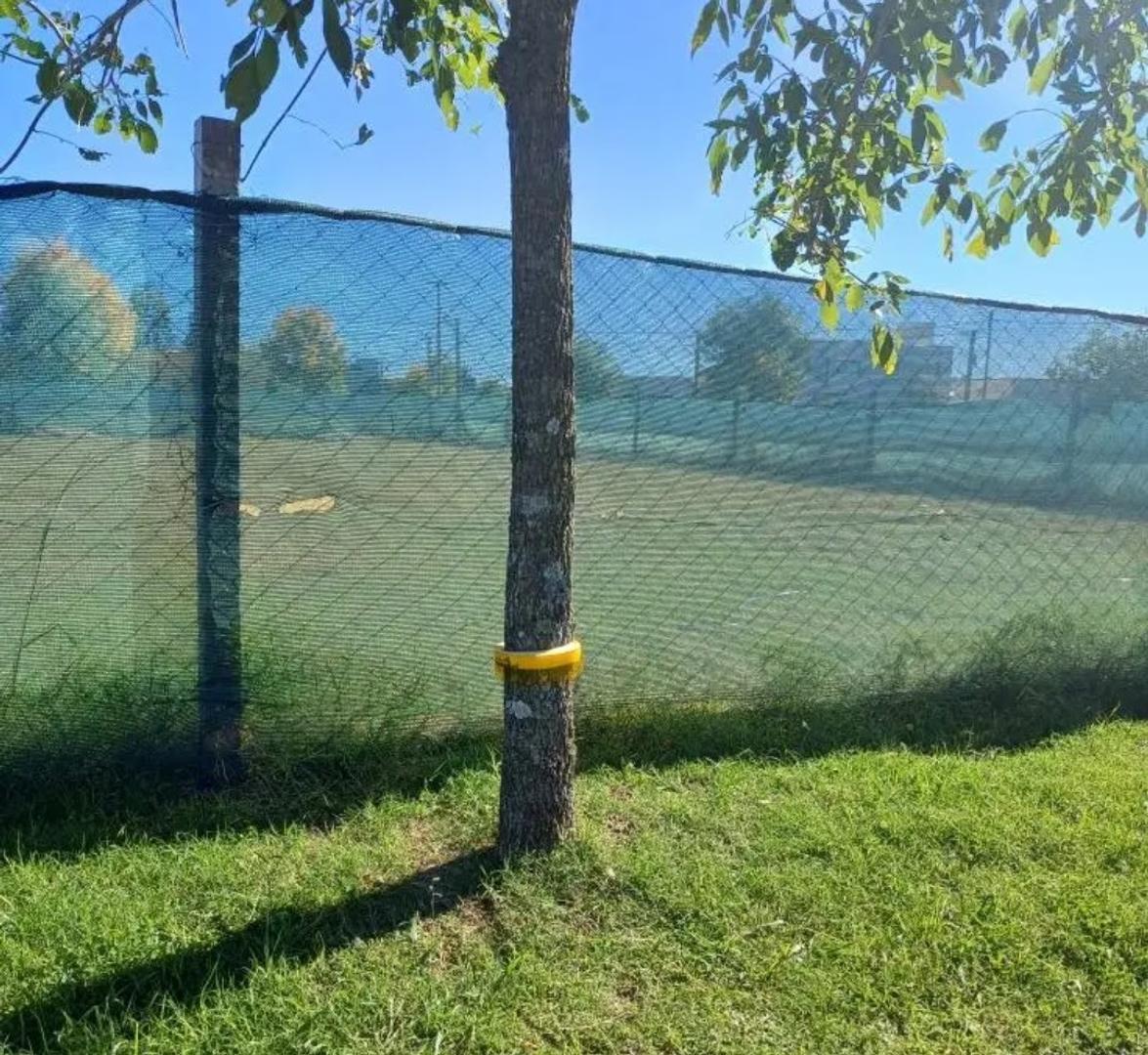 Foto de ALTOS DEL CASCO - ZARATE, imagen 2