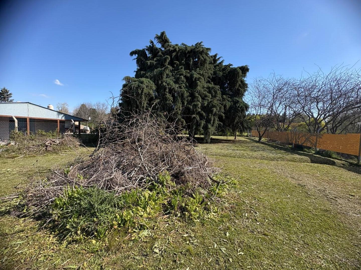 Foto de Lote en venta en La Carona 2, imagen 2