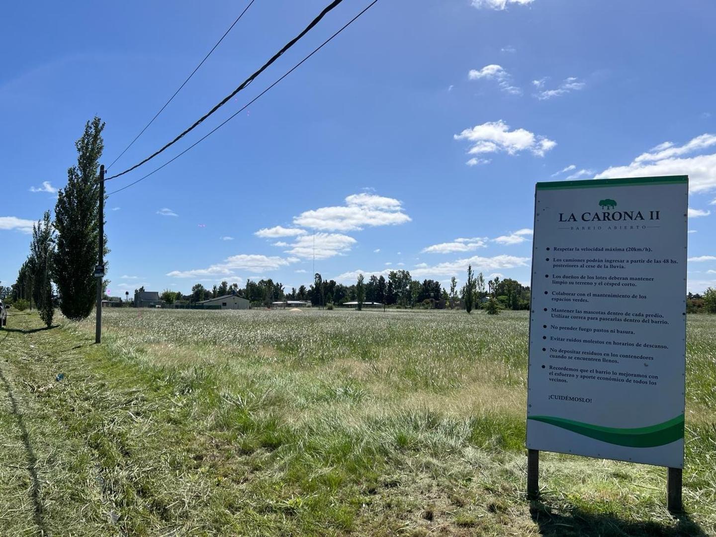 Foto de Lote en venta en La Carona 2, imagen 1