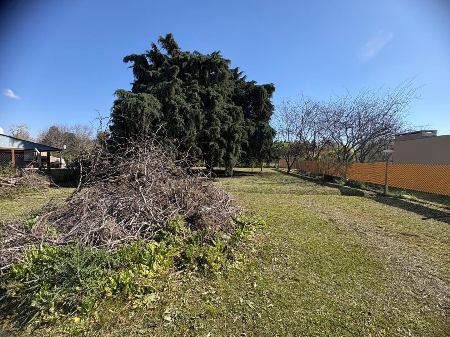 Foto de Lote en venta en La Carona 2, imagen 3