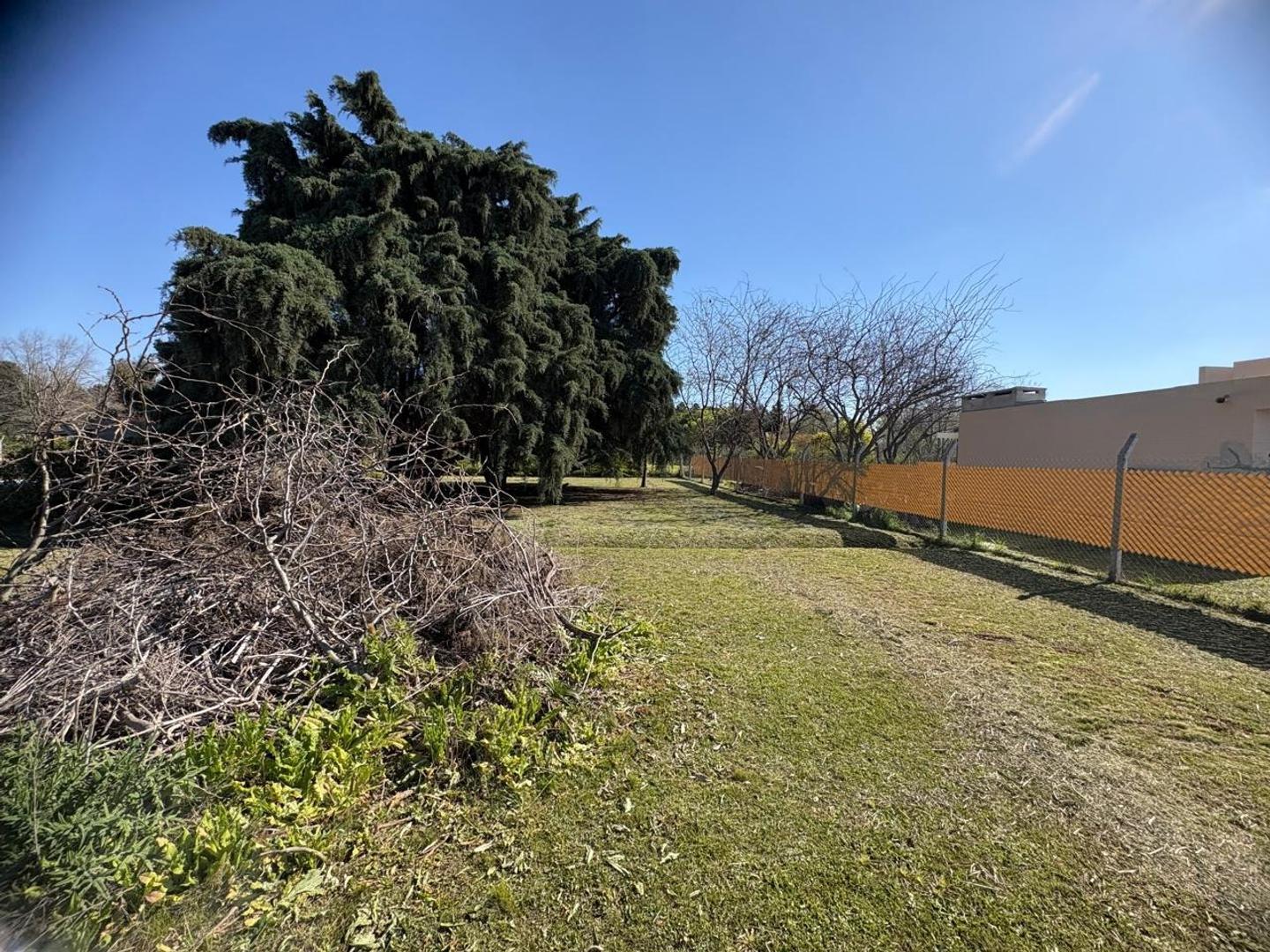 Foto de Lote en venta en La Carona 2, imagen 4
