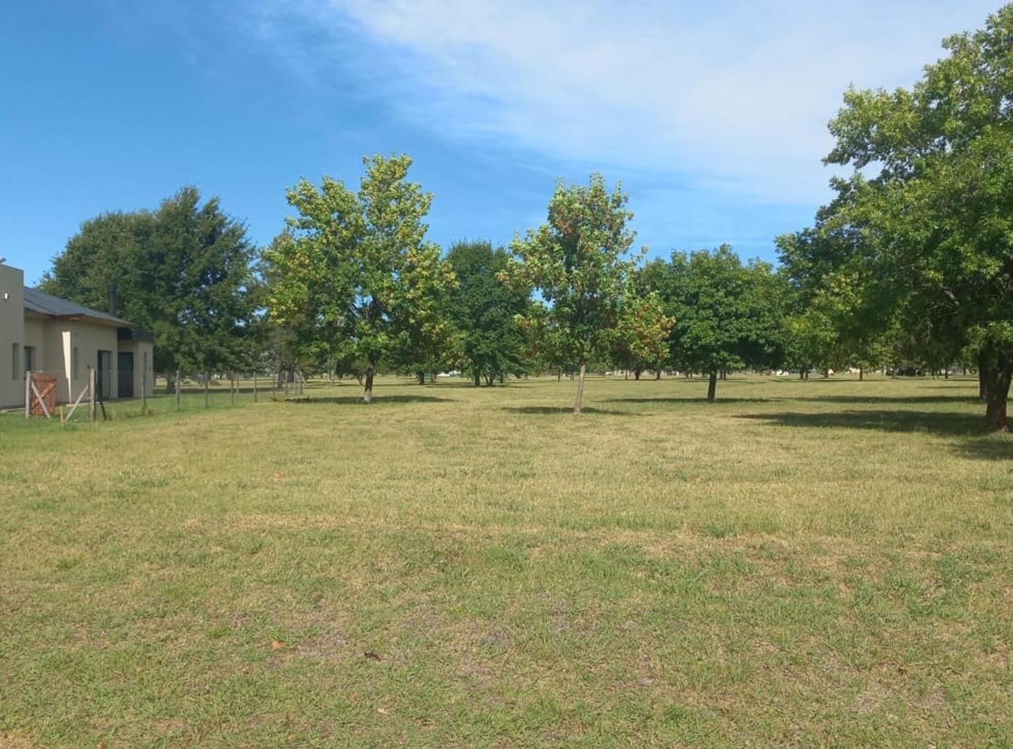 Foto de MIRABOSQUES CARDALES - LOTE EN VENTA, imagen 3