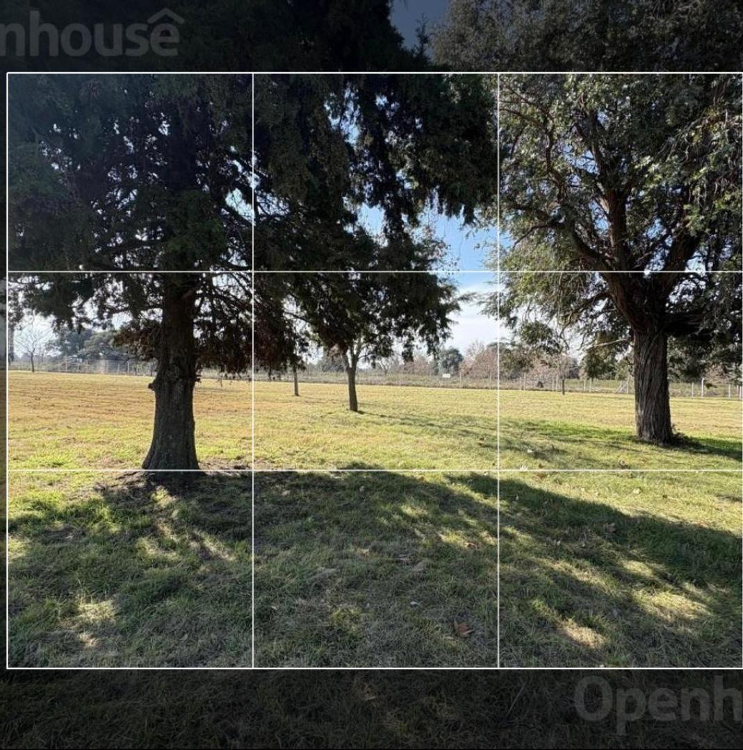 Foto de TERRENO EN VENTA, imagen 3