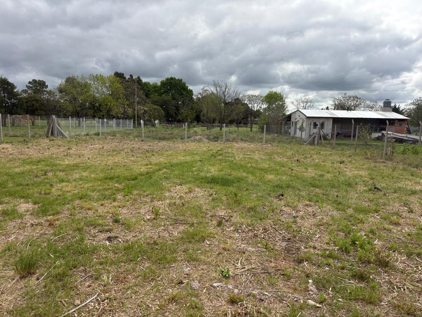 Foto de TERRENO EN VENTA LOS MIRTILLOS 2, imagen 2