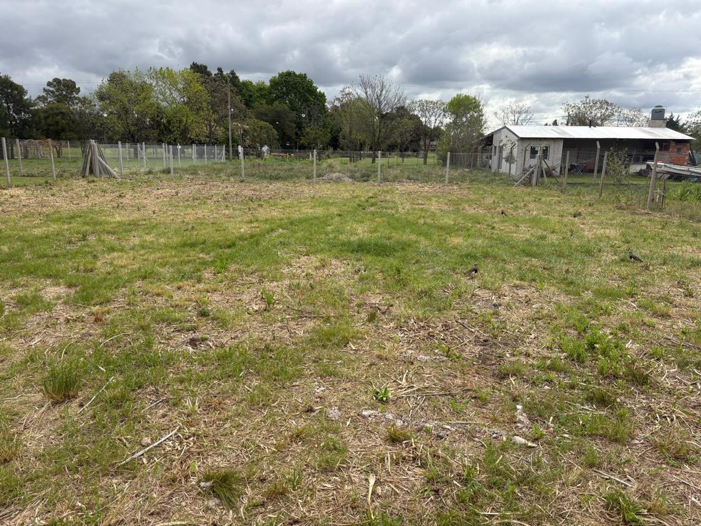 Foto de TERRENO EN VENTA LOS MIRTILLOS 2, imagen 4