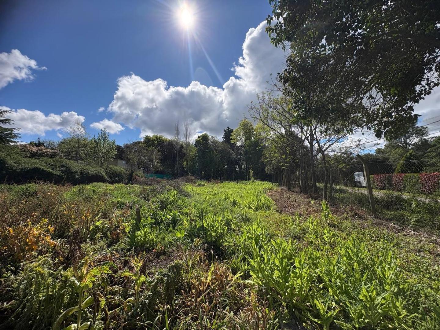 Foto de TERRENO EN VENTA EN ZARATE, imagen 1