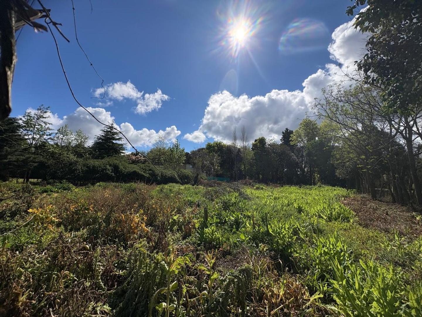 Foto de TERRENO EN VENTA EN ZARATE, imagen 3