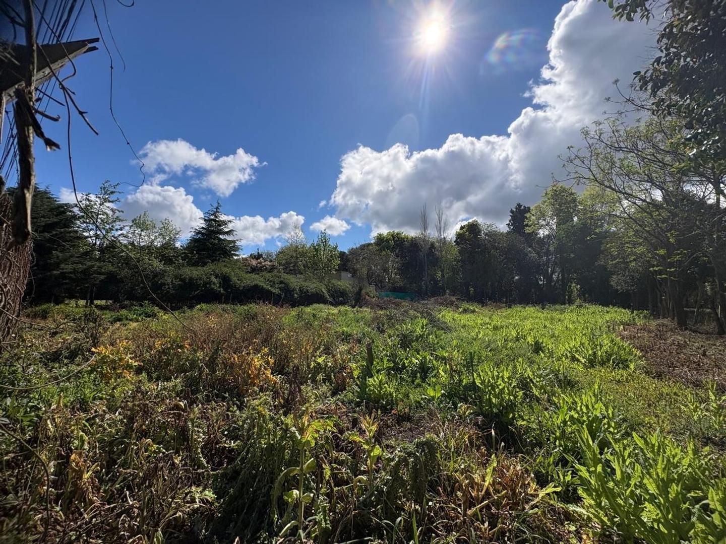 Foto de TERRENO EN VENTA EN ZARATE, imagen 2