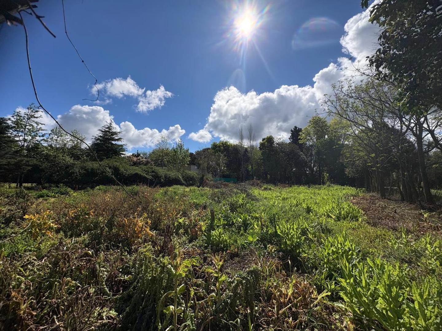 Foto de TERRENO EN VENTA EN ZARATE, imagen 5