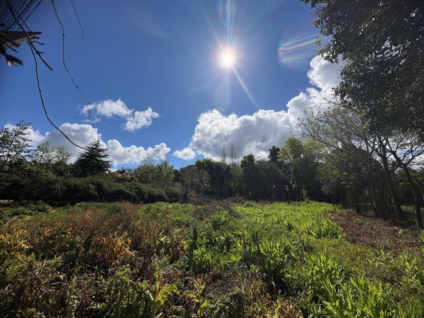 Foto de TERRENO EN VENTA EN ZARATE, imagen 4
