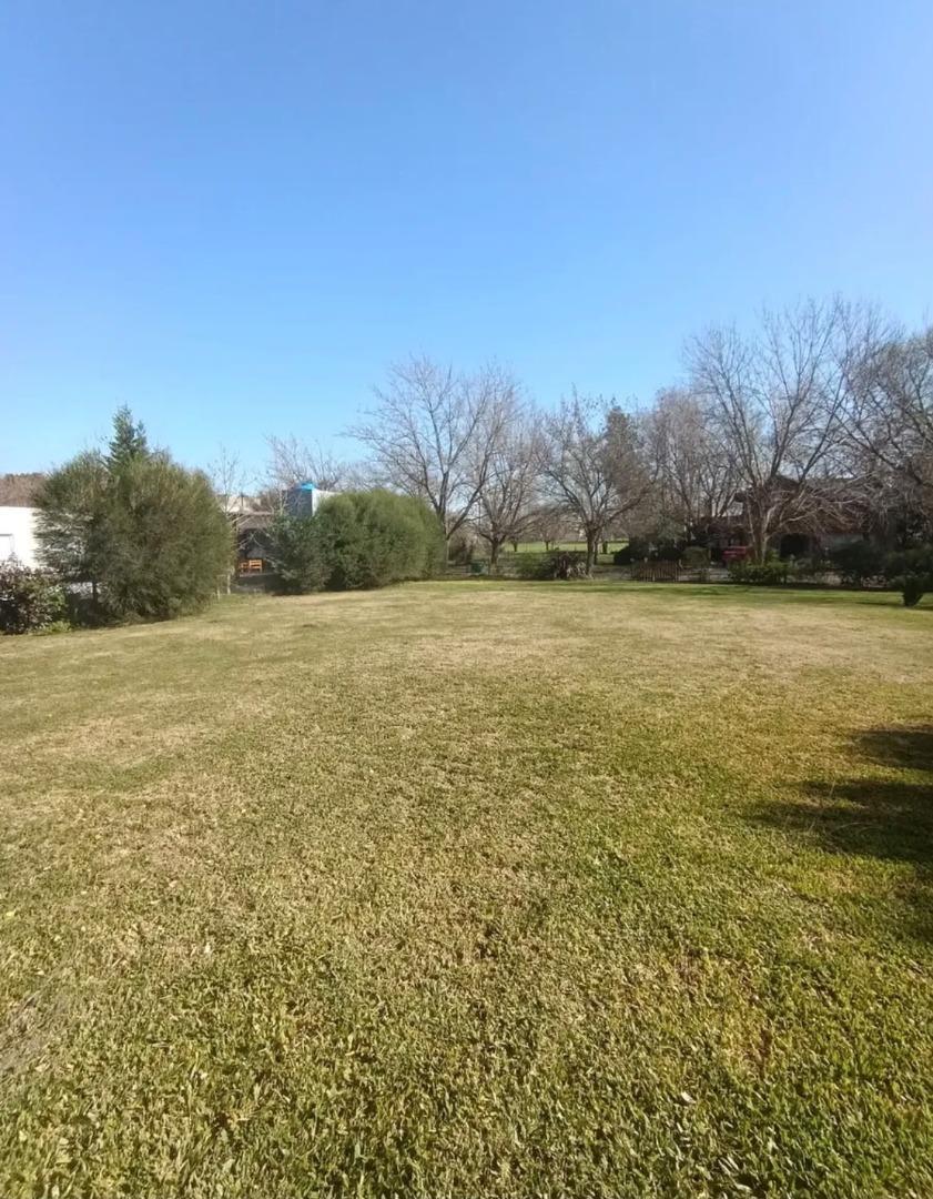 Foto de TERRENO EN VENTA, imagen 4