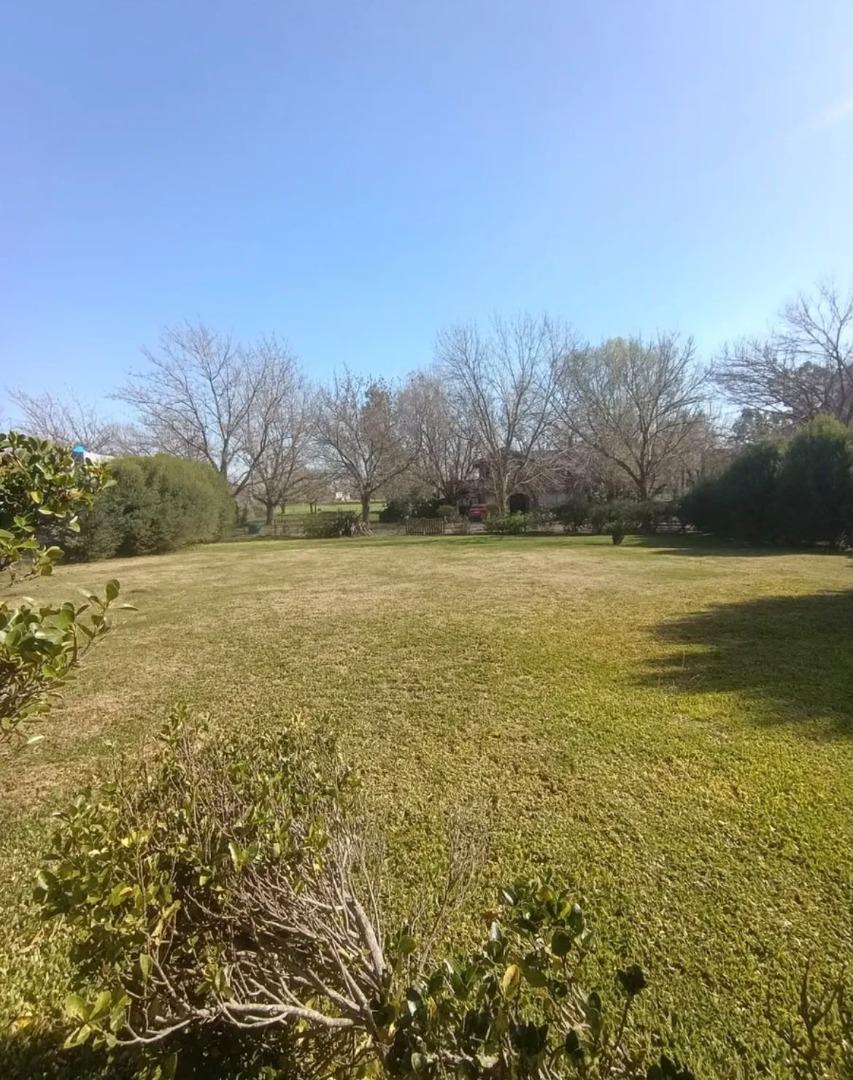 Foto de TERRENO EN VENTA, imagen 3