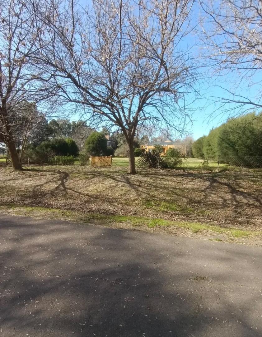 Foto de TERRENO EN VENTA, imagen 2