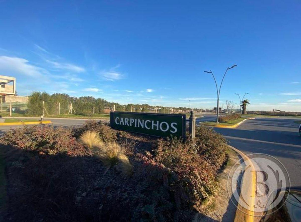 Foto de INCREIBLE LOTE AL AGUA EN BARRIO CARPINCHOS - NORDELTA, imagen 1