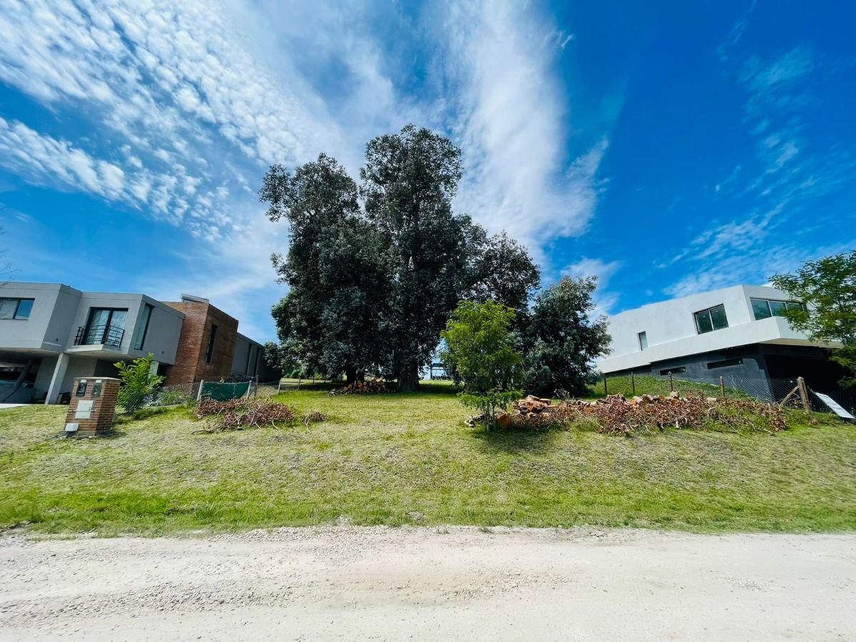 Foto de Terreno 880 m² en barrio privado Barrancas de San Benito, imagen 2