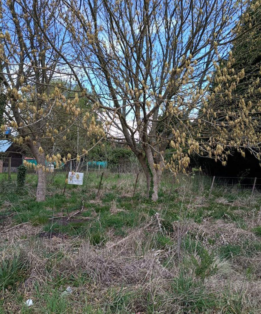 Foto de LOTES EN VENTA | ULTIMOS DOS DISPONIBLES | 1.060 M2 | SIERRA DE LOS, imagen 2