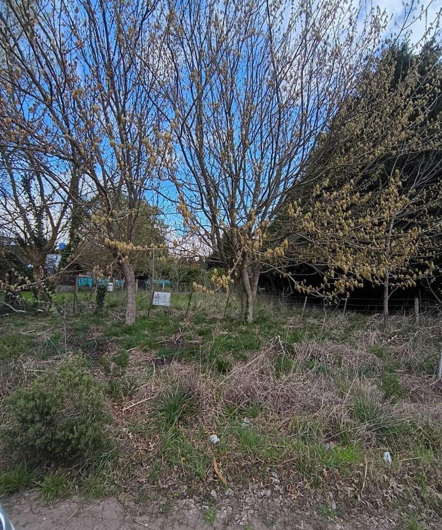 Foto de LOTES EN VENTA | ULTIMOS DOS DISPONIBLES | 1.060 M2 | SIERRA DE LOS, imagen 1