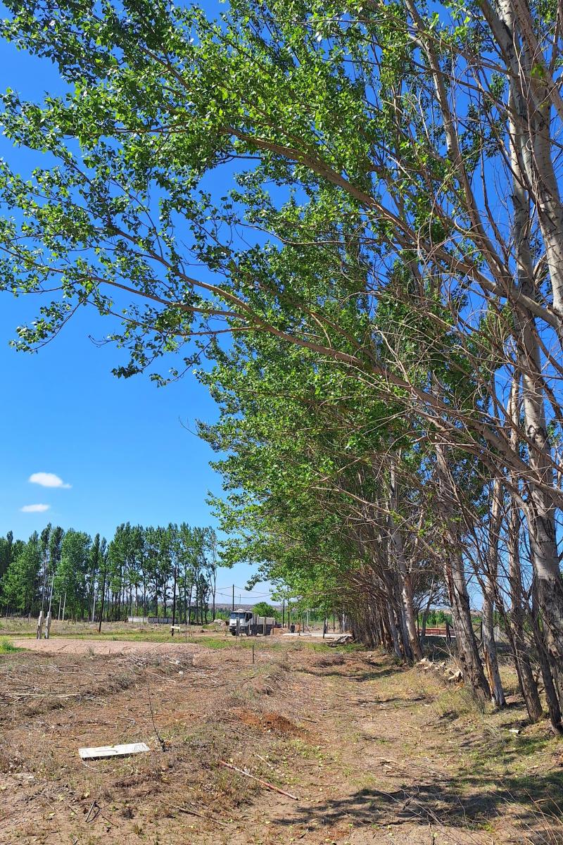 Venta Lote en Plottier Jardines de Limay Tercera Etapa 4