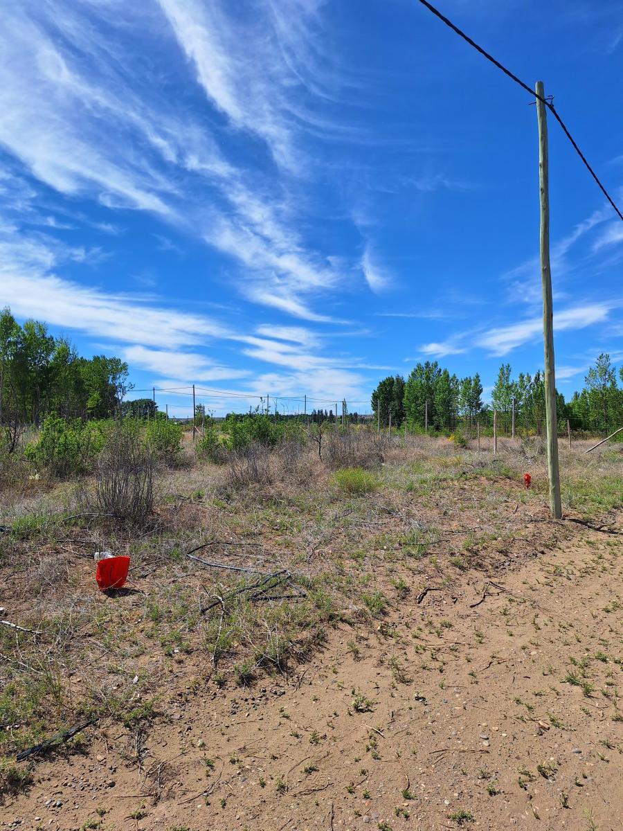 Venta Lote en Plottier Jardines de Limay Tercera Etapa 5