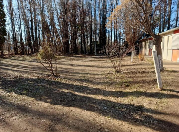 ALQUILER CASA AMPLIA TRES DORMITORIOS PLOTTIER FRENTE RUTA 22  3