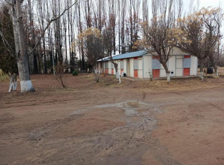 ALQUILER CASA AMPLIA TRES DORMITORIOS PLOTTIER FRENTE RUTA 22  4