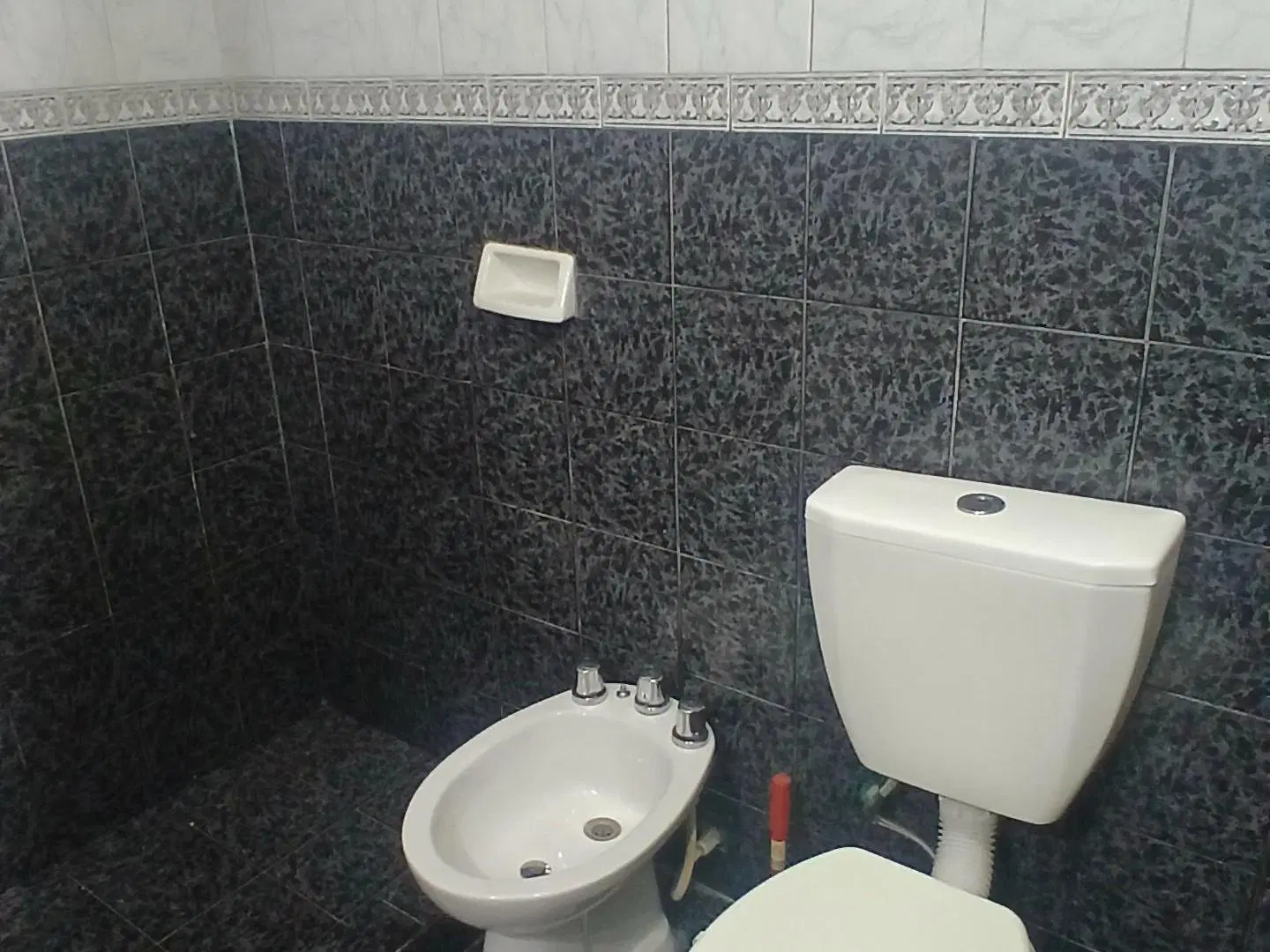 Alquiler departamento PLOTTIER 3