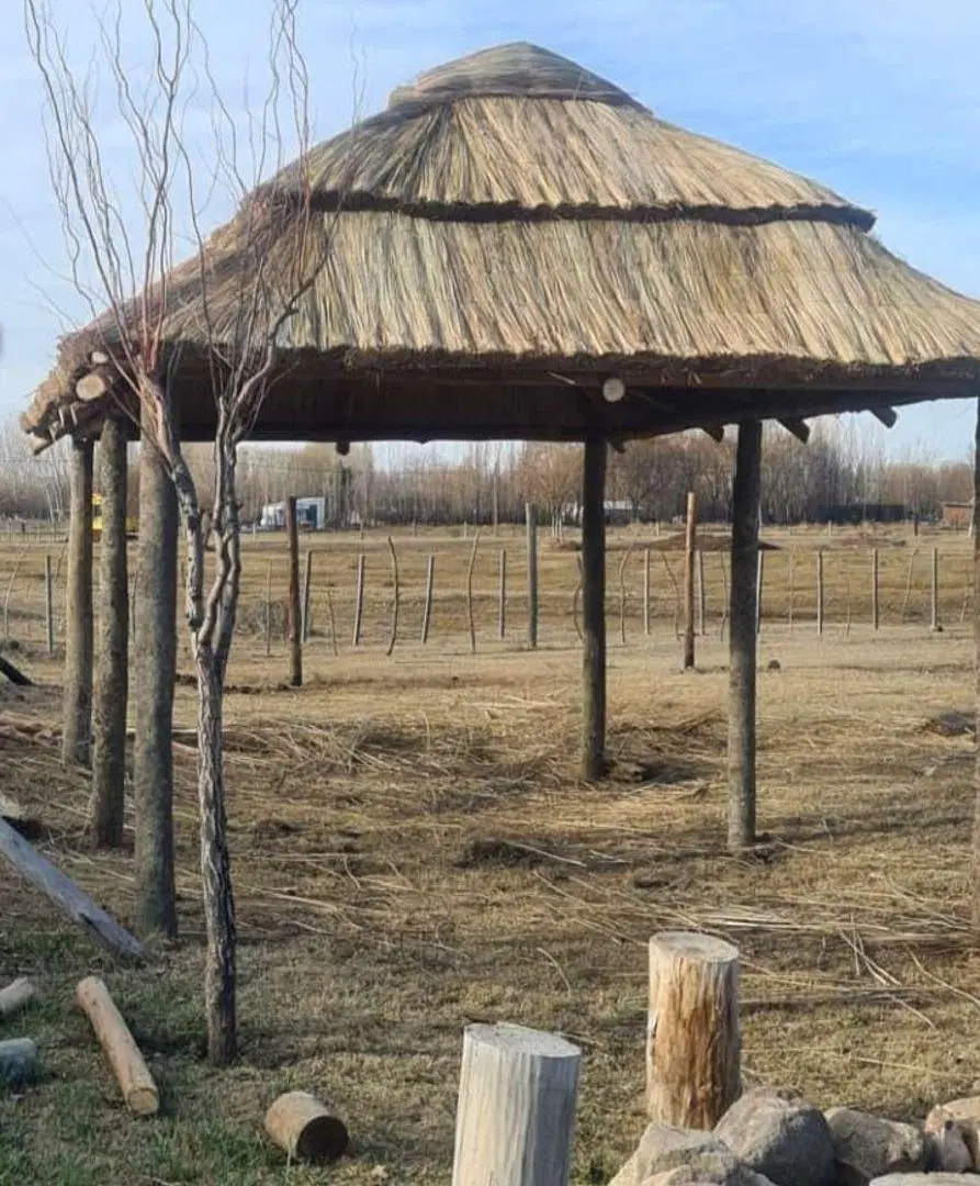 VENTA HERMOSA PROPIEDAD TIPO CASA QUINTA CHINA MUERTA PLOTTIER 4