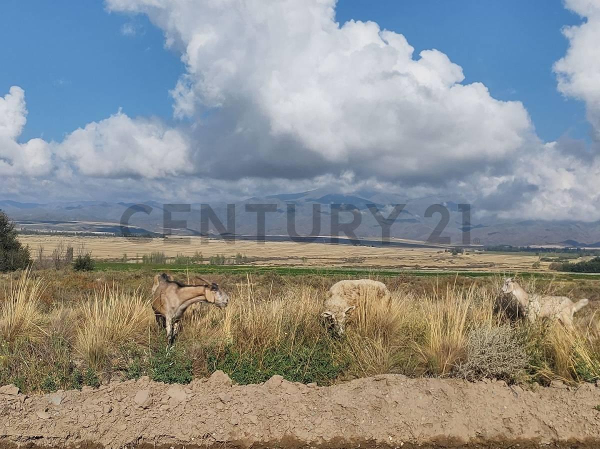 Foto de Venta de Lote en los coirones, Tupungato, imagen 3