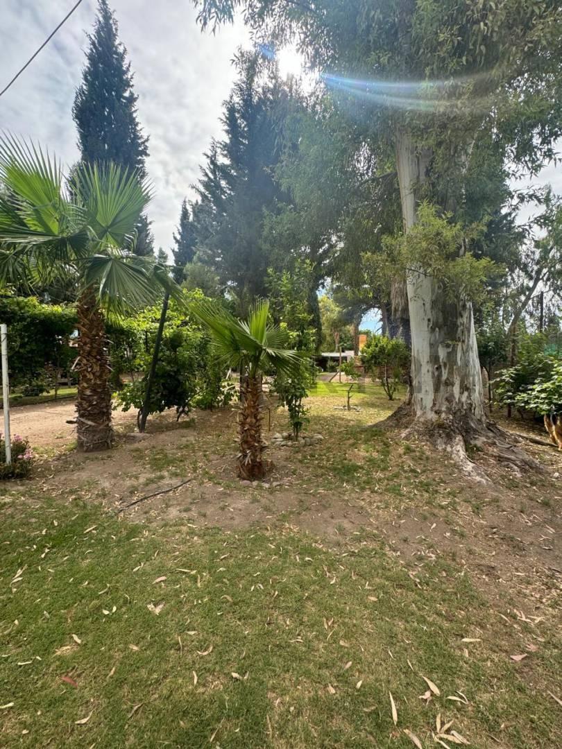 Se Vende Terreno con Cuatro Propiedades (Excelente Oportunidad) 2
