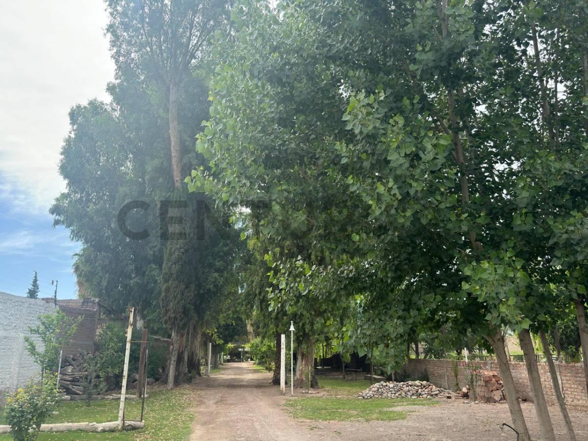 Se Vende Terreno con Cuatro Propiedades (Excelente Oportunidad) 3