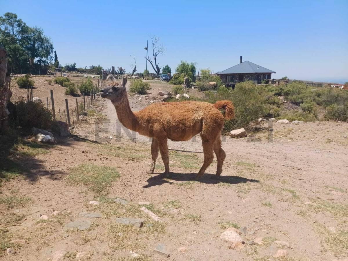 Vendo Lotes en La Crucesita 4