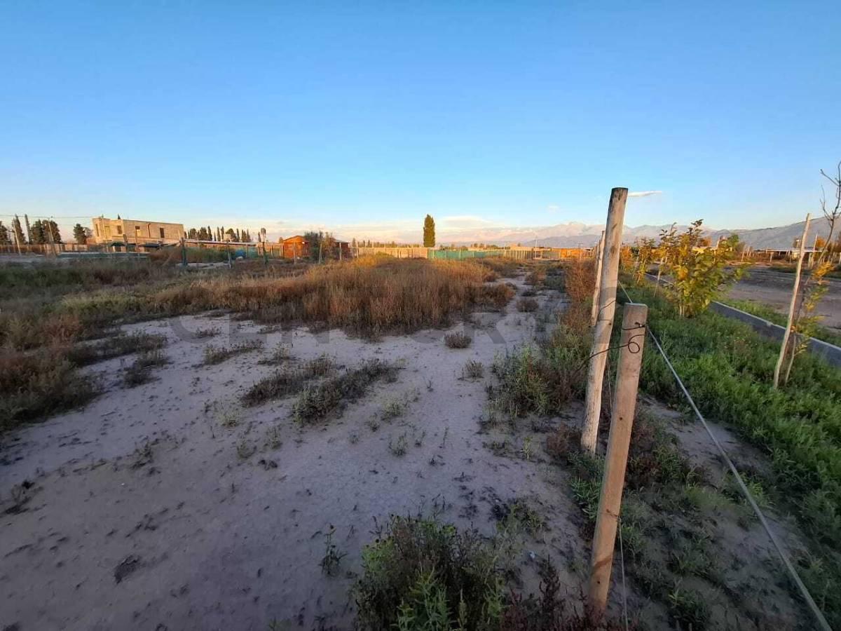 Terreno en Venta en Perdriel, Luján de Cuyo 2