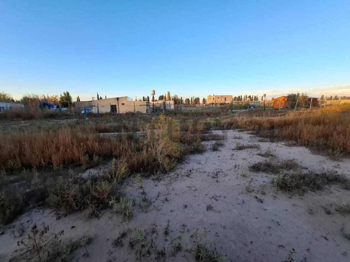 Terreno en Venta en Perdriel, Luján de Cuyo 5