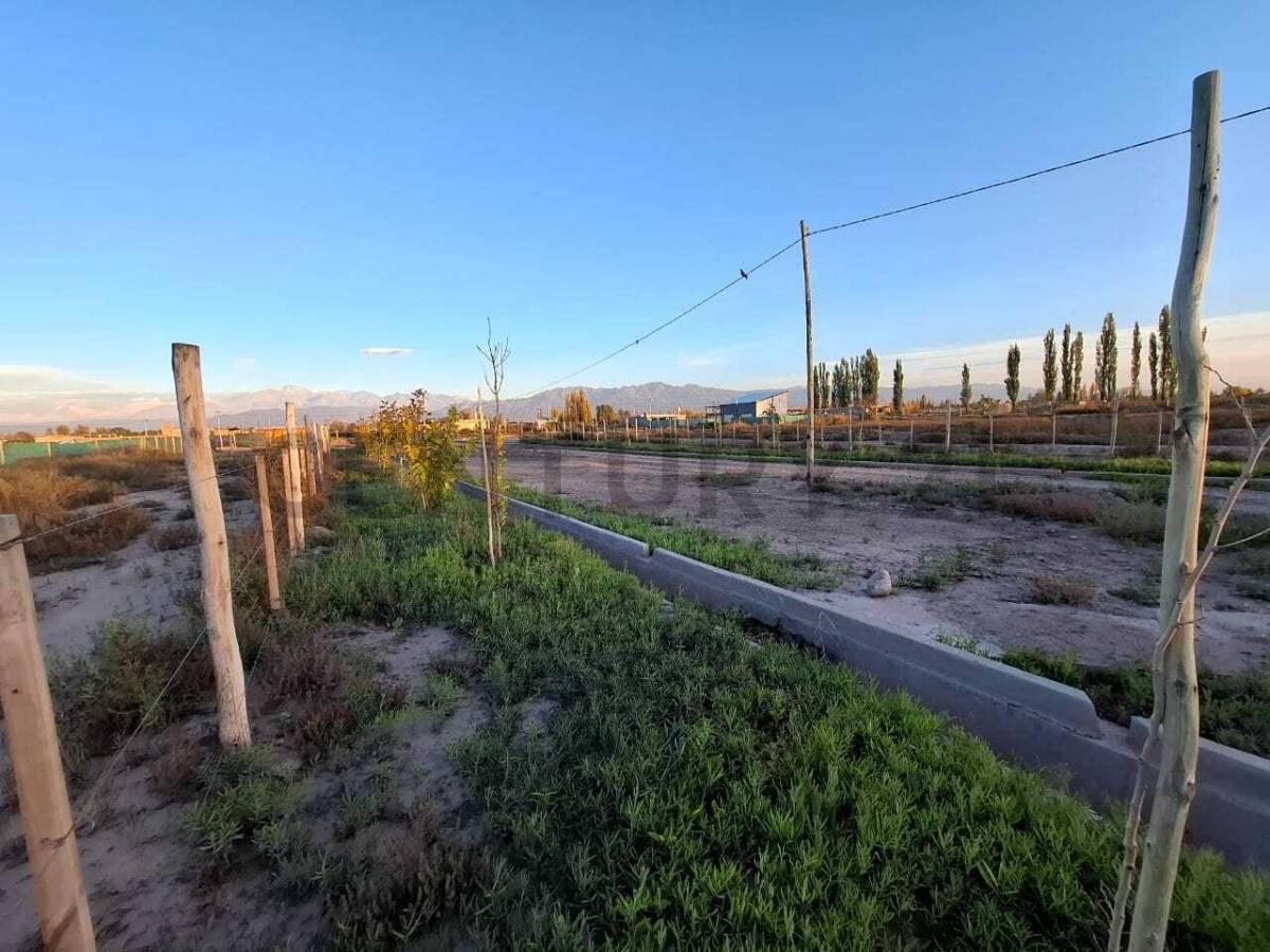 Terreno en Venta en Perdriel, Luján de Cuyo 4