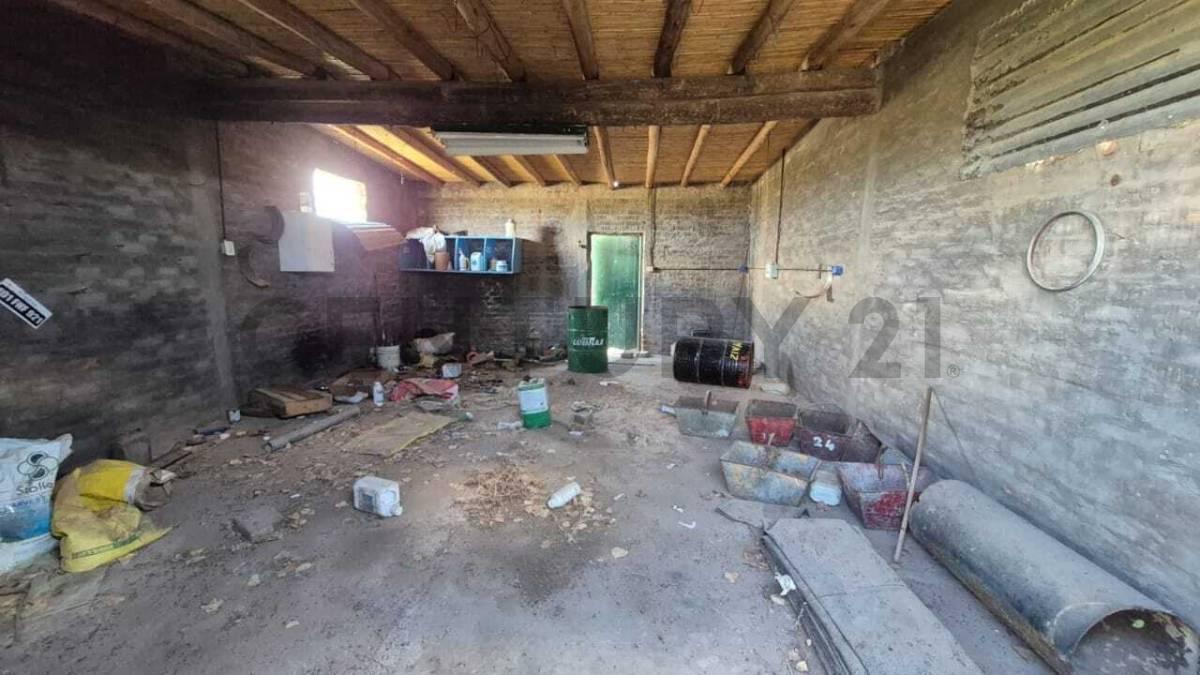 Finca en Venta en "Carrizal de Abajo" 3