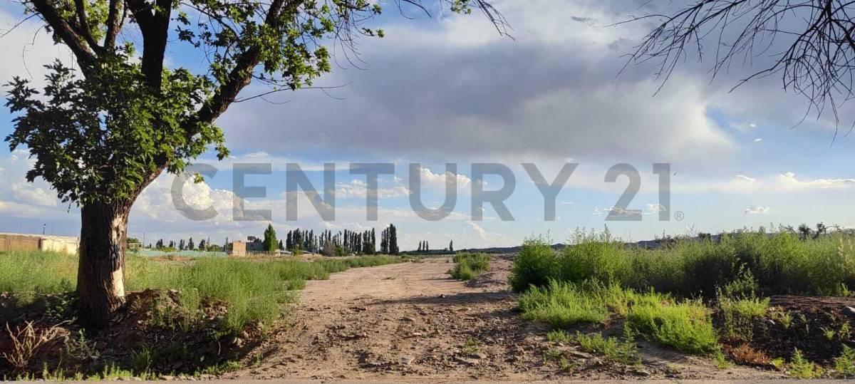 Foto de Terreno Barrio Cooperativa Agua y Energia, imagen 5