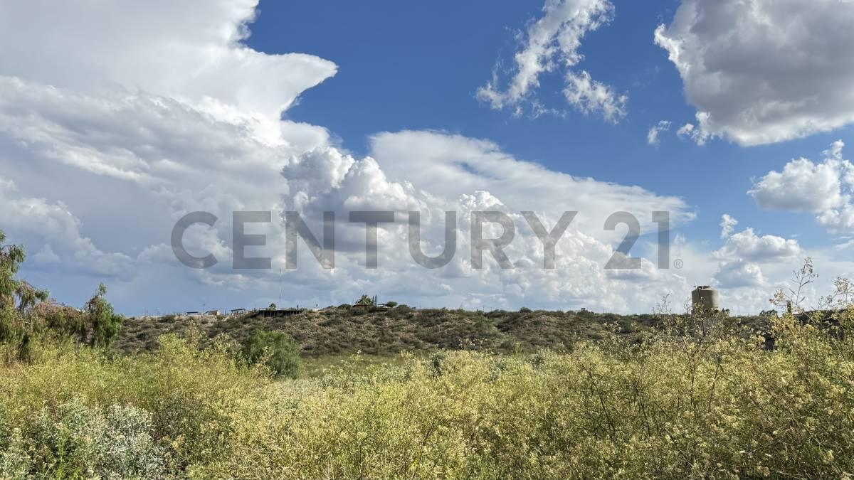 Foto de LOTE EN VENTA EN LUJAN DE CUYO, imagen 2