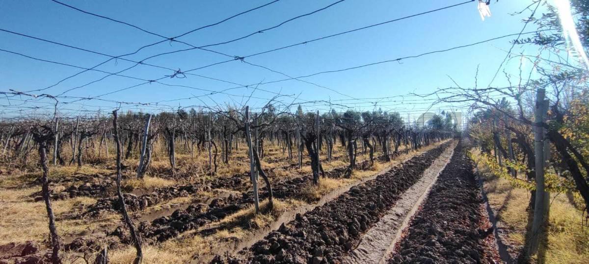 Foto de FINCA EN VENTA EN JUNIN, imagen 2
