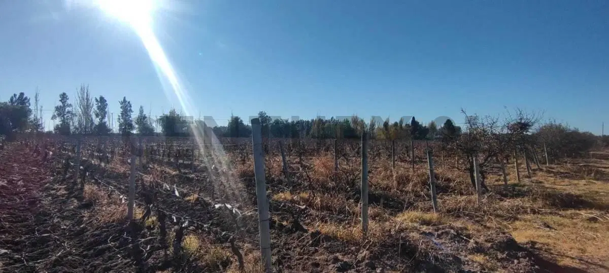 FINCA EN VENTA EN JUNIN 5