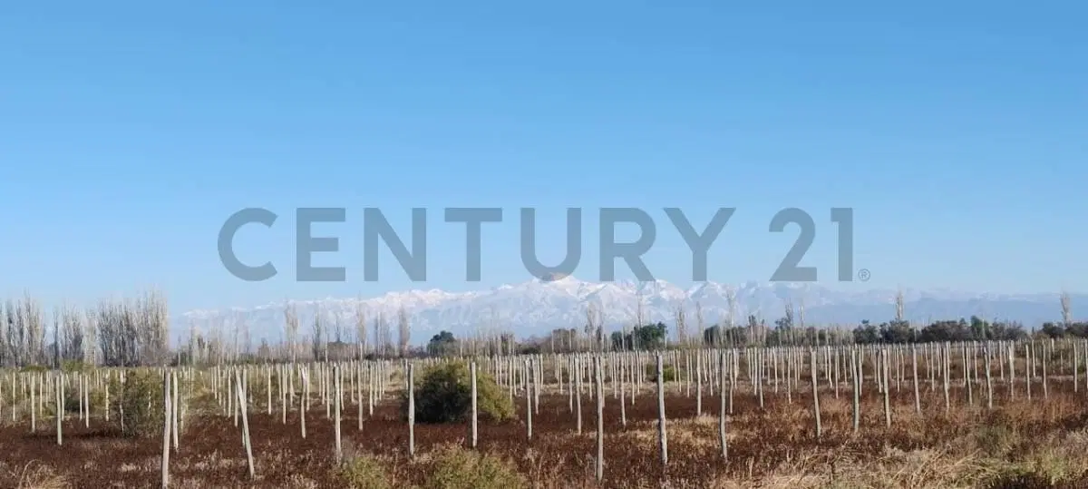 FINCA EN VENTA EN JUNIN 3
