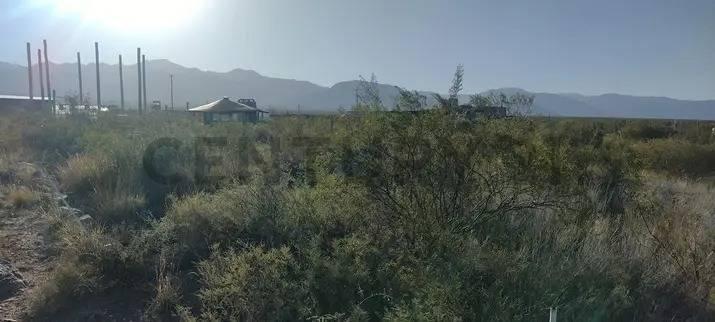 Venta lote en Barrio Magdalena Olivar