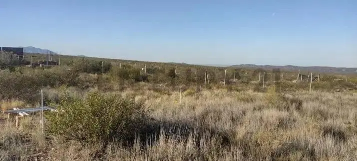 Venta lote en Barrio Magdalena Olivar 5