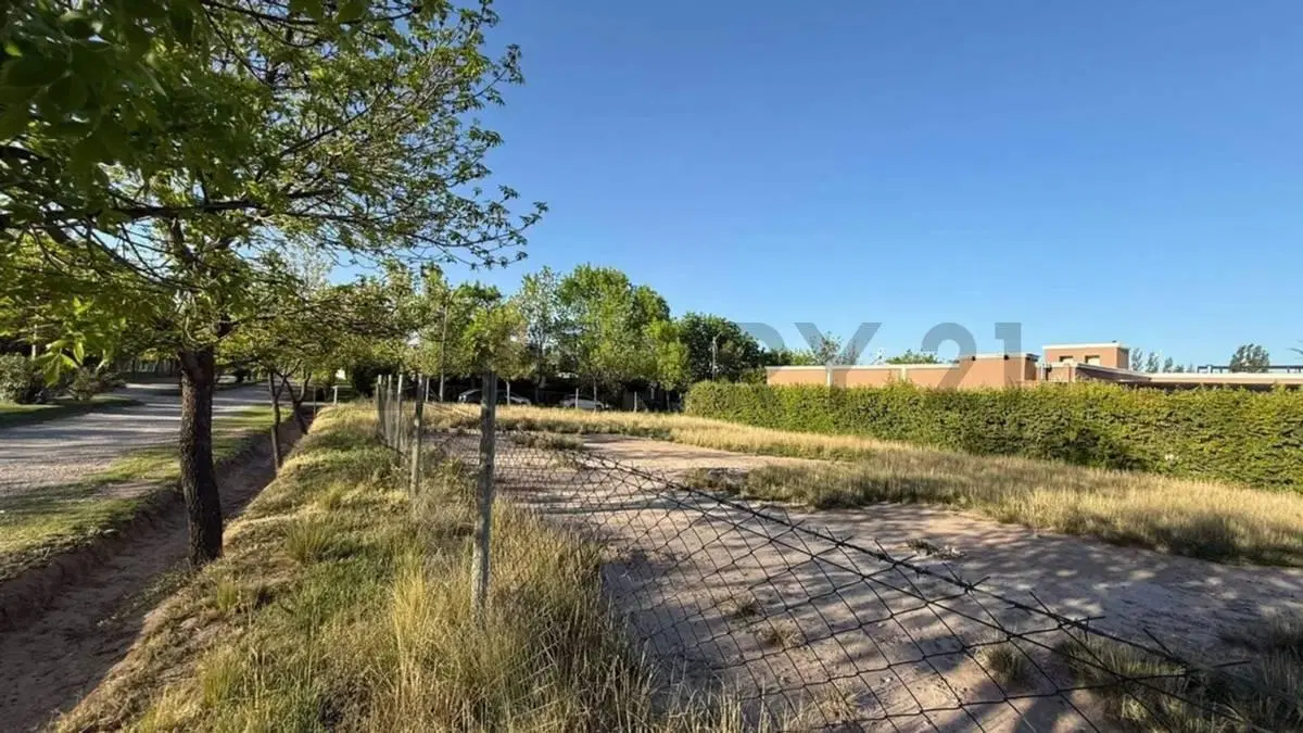 Venta de Lote 5