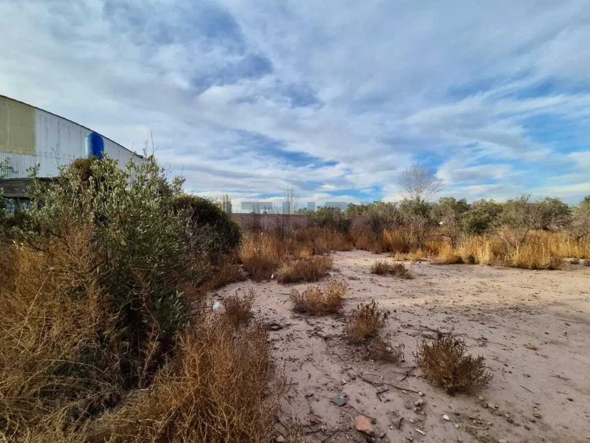 C21 Lucio Barroso Vende Terreno en Coquimbito 3