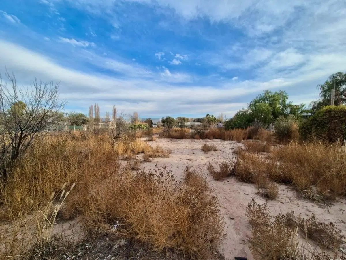 C21 Lucio Barroso Vende Terreno en Coquimbito 5