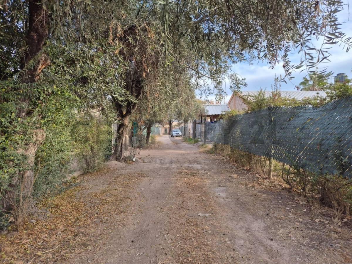C21 Lucio Barroso Vende Terreno en Coquimbito