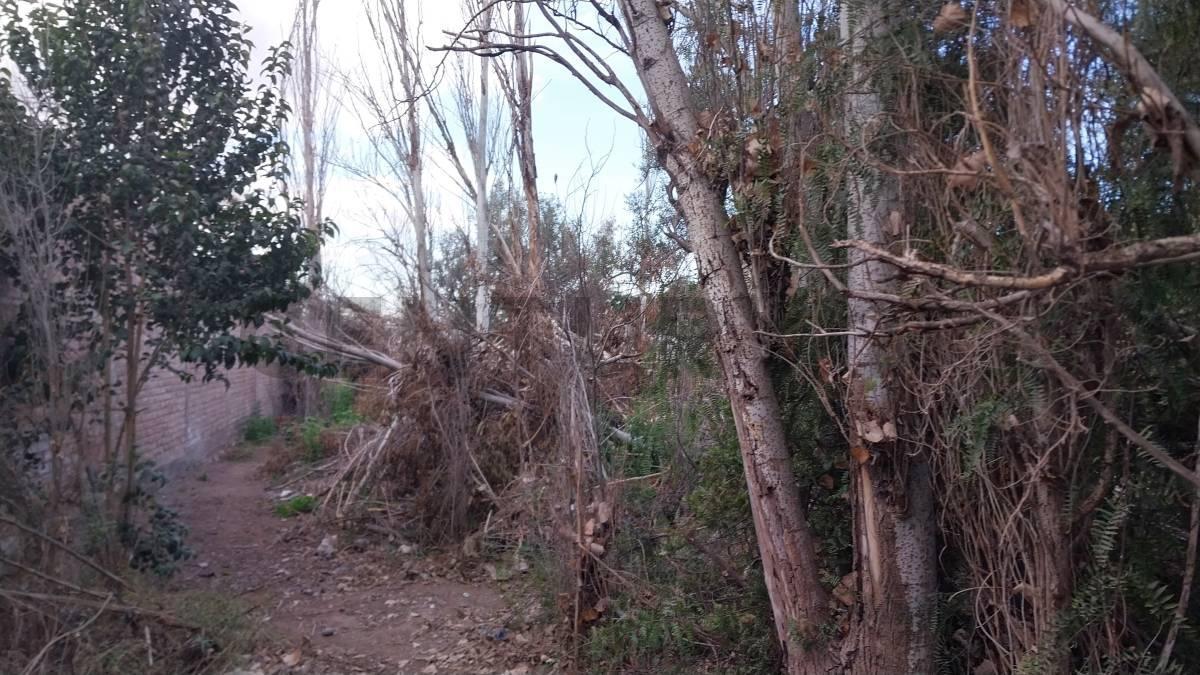 Foto de LOTE EN VENTA -RODEO DE LA CRUZ, imagen 3