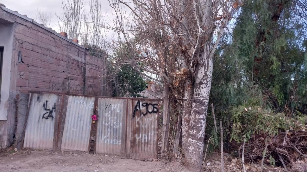 Foto de LOTE EN VENTA -RODEO DE LA CRUZ, imagen 5