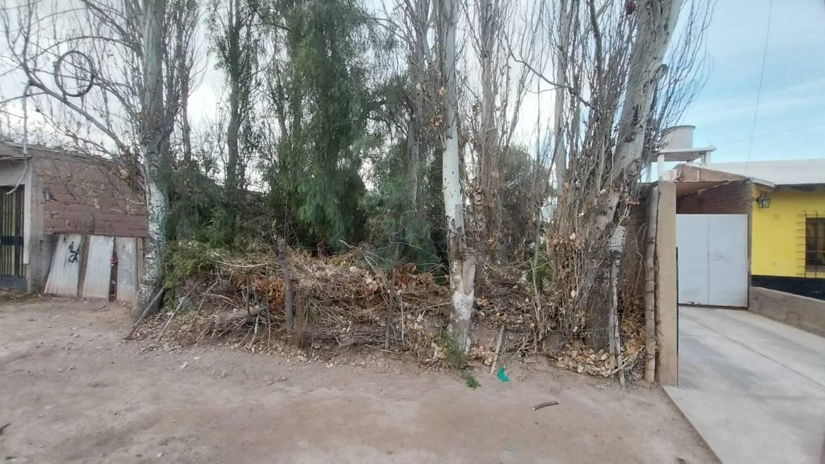 Foto de LOTE EN VENTA -RODEO DE LA CRUZ, imagen 4